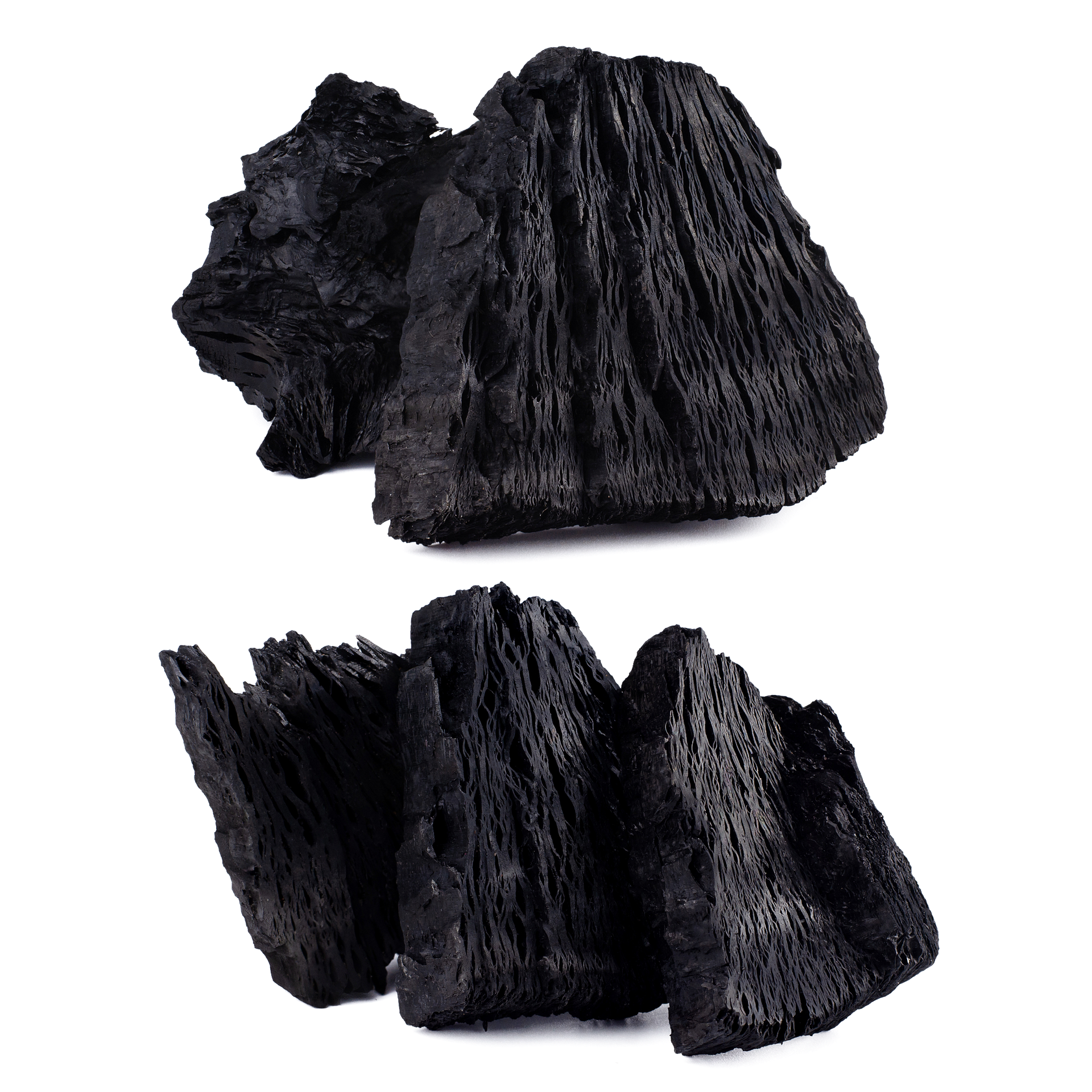 Coal and Petroleum